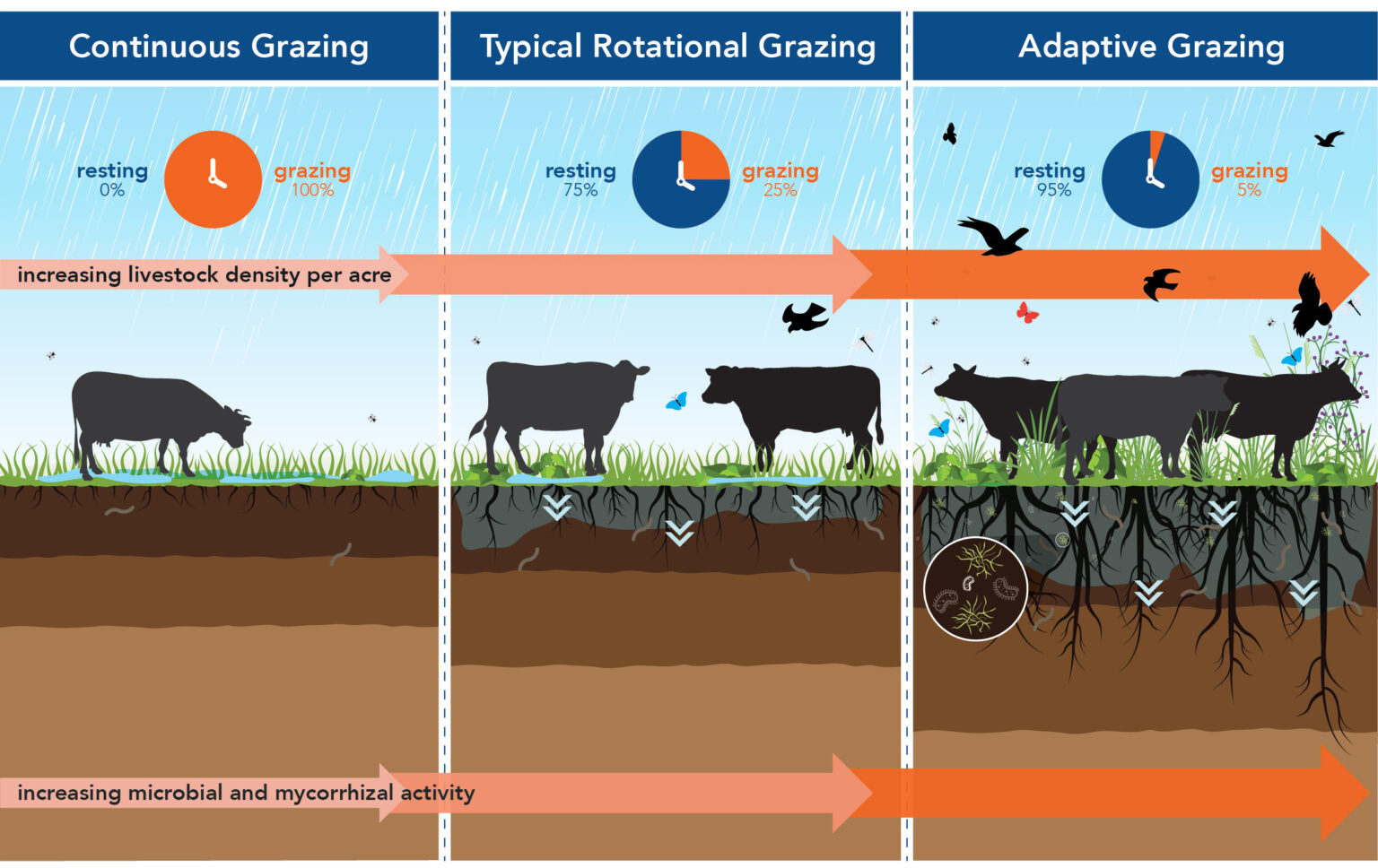 Types Of Rotational Grazing Systems