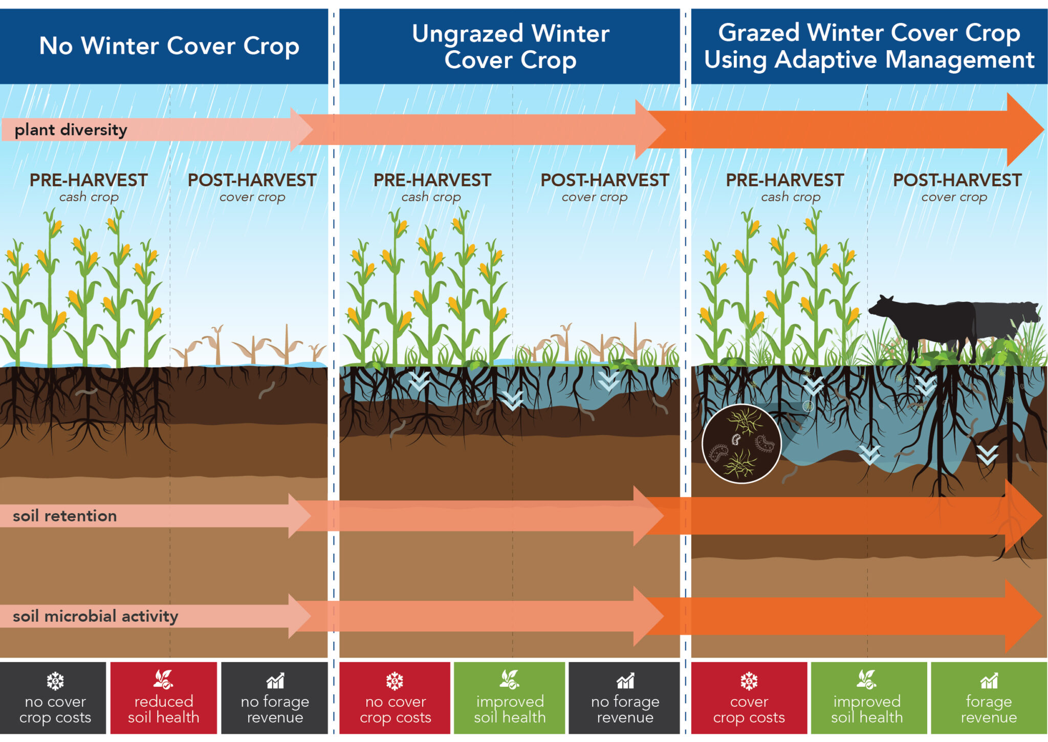 Pasture Project : Grazing Diagrams